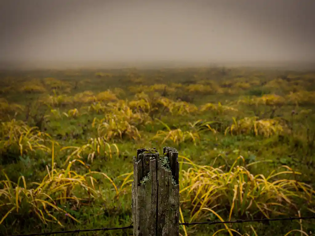Bruine stikstofsmog boven een groen weiland met vergelende graspollen en een verweerde houten paal op de voorgrond.